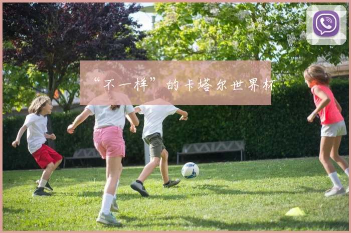 “不一样”的卡塔尔世界杯