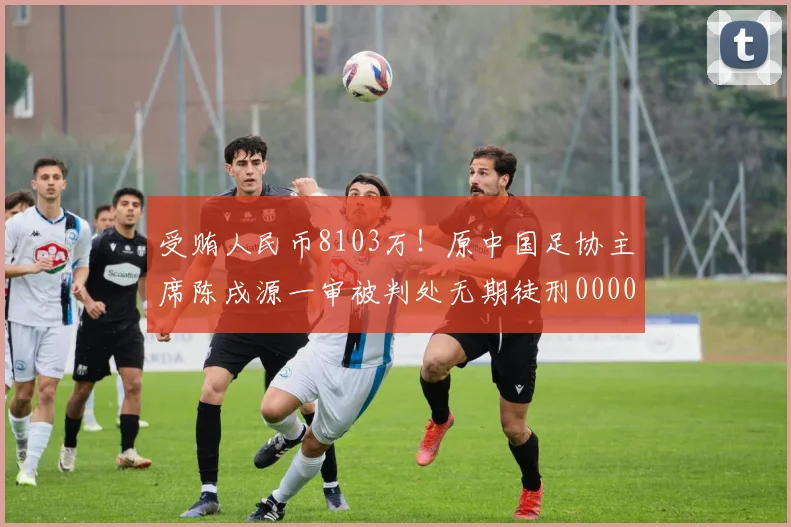 受贿人民币8103万！原中国足协主席陈戌源一审被判处无期徒刑0000644