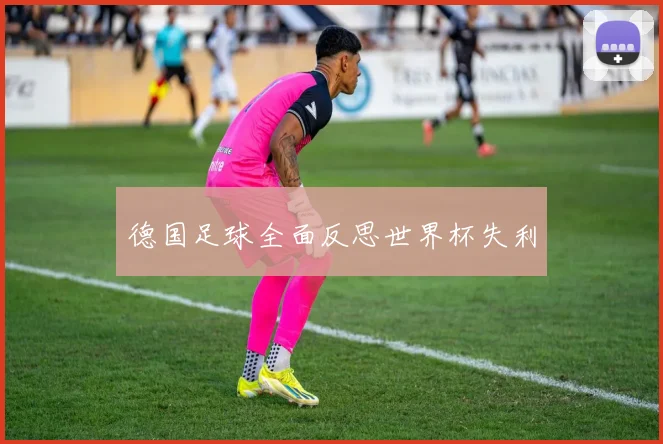 德国足球全面反思世界杯失利
